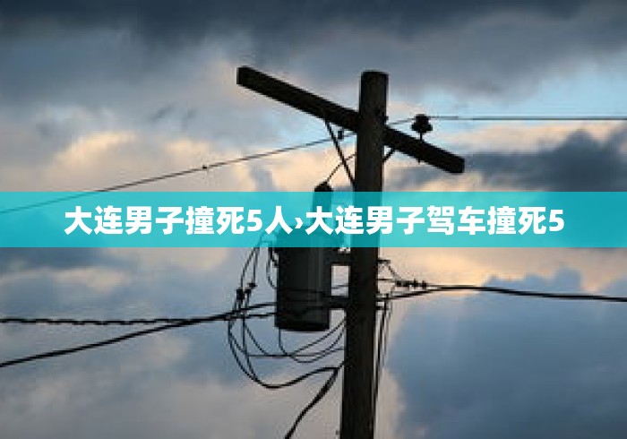 大连男子撞死5人›大连男子驾车撞死5