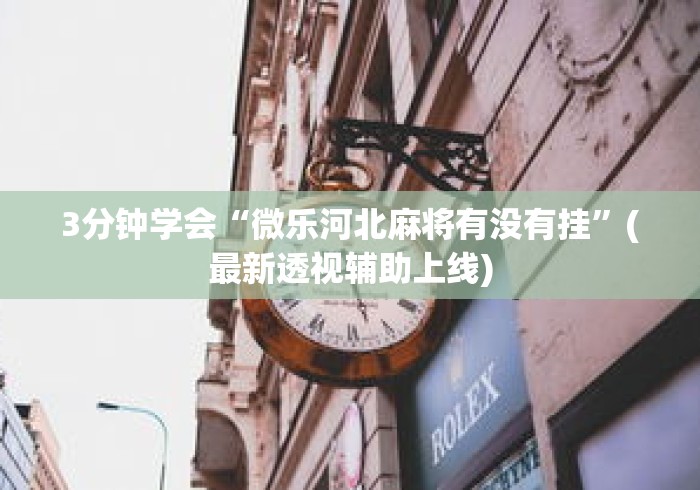 3分钟学会“微乐河北麻将有没有挂”(最新透视辅助上线)