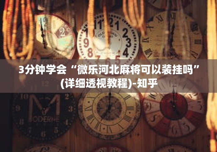 3分钟学会“微乐河北麻将可以装挂吗”(详细透视教程)-知乎