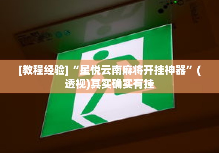 [教程经验]“星悦云南麻将开挂神器”(透视)其实确实有挂