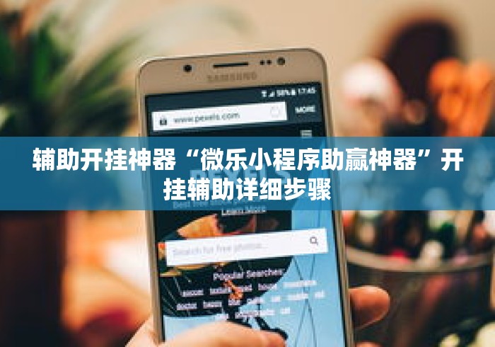 辅助开挂神器“微乐小程序助赢神器”开挂辅助详细步骤