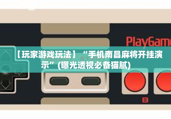 【玩家游戏玩法】“手机南昌麻将开挂演示”(曝光透视必备猫腻)