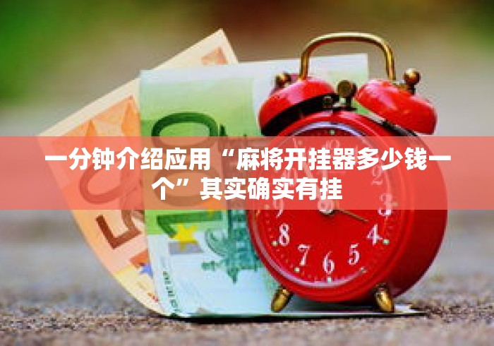 一分钟介绍应用“麻将开挂器多少钱一个”其实确实有挂