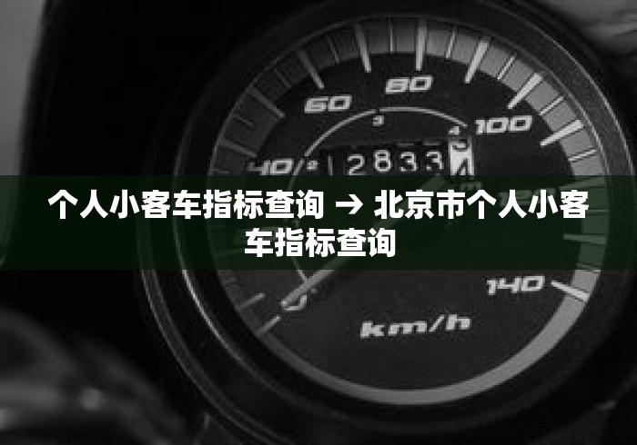 个人小客车指标查询 → 北京市个人小客车指标查询