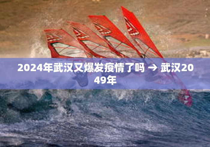 2024年武汉又爆发疫情了吗 → 武汉2049年