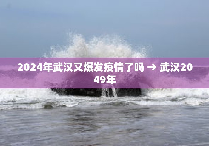 2024年武汉又爆发疫情了吗 → 武汉2049年