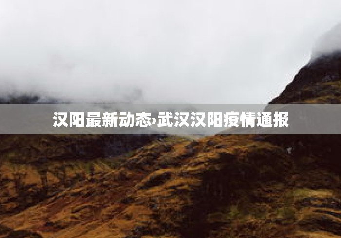 汉阳最新动态›武汉汉阳疫情通报