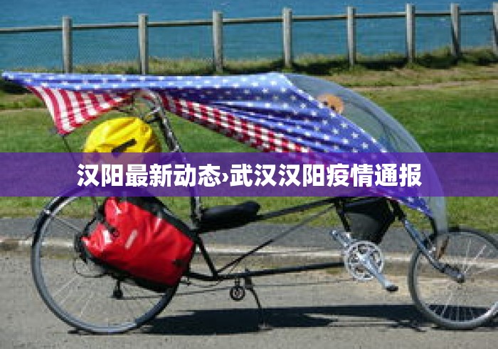 汉阳最新动态›武汉汉阳疫情通报