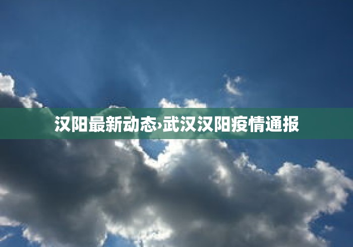 汉阳最新动态›武汉汉阳疫情通报