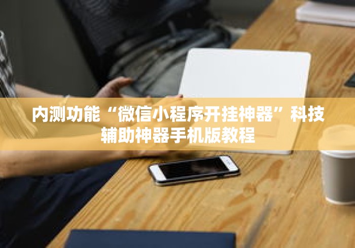 内测功能“微信小程序开挂神器”科技辅助神器手机版教程