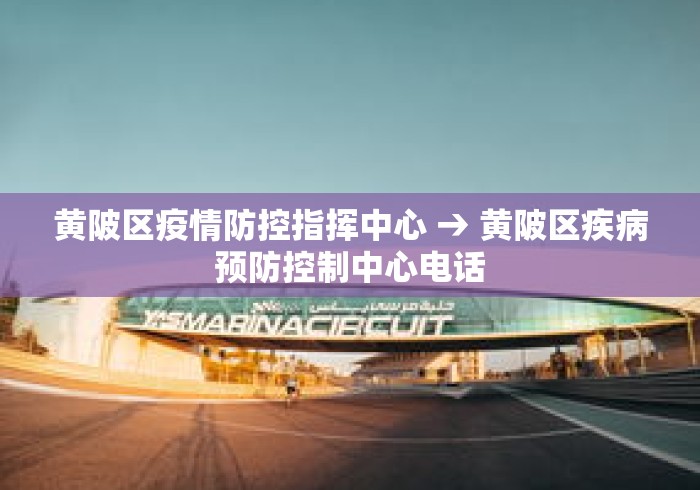 黄陂区疫情防控指挥中心 → 黄陂区疾病预防控制中心电话