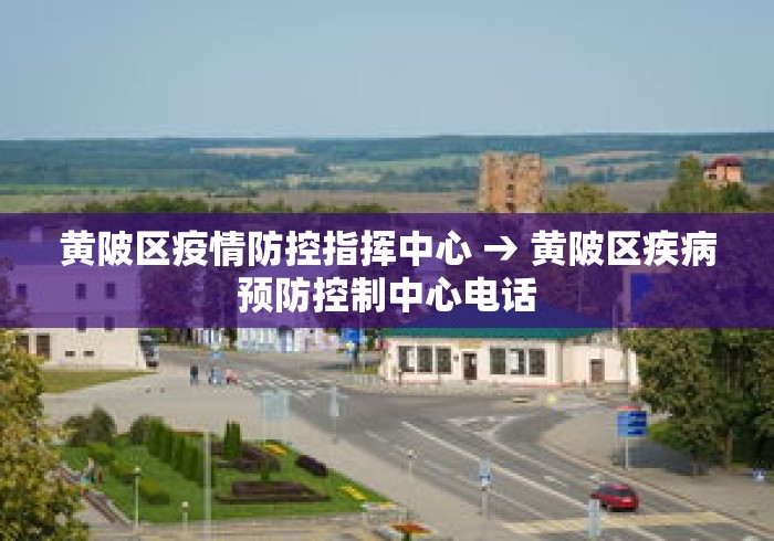黄陂区疫情防控指挥中心 → 黄陂区疾病预防控制中心电话 黄陂区疫情防控指挥中心 → 黄陂区疾病预防控制中心电话