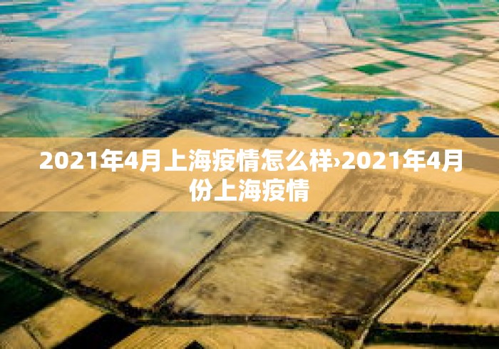 2021年4月上海疫情怎么样›2021年4月份上海疫情 2021年4月上海疫情怎么样›2021年4月份上海疫情