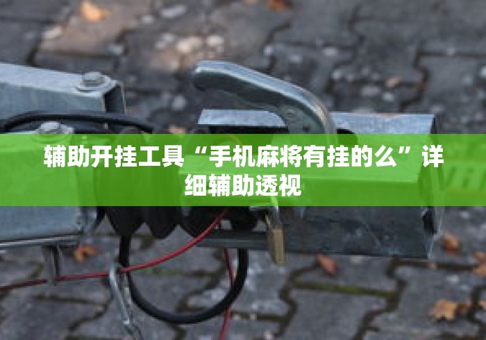 辅助开挂工具“手机麻将有挂的么”详细辅助透视