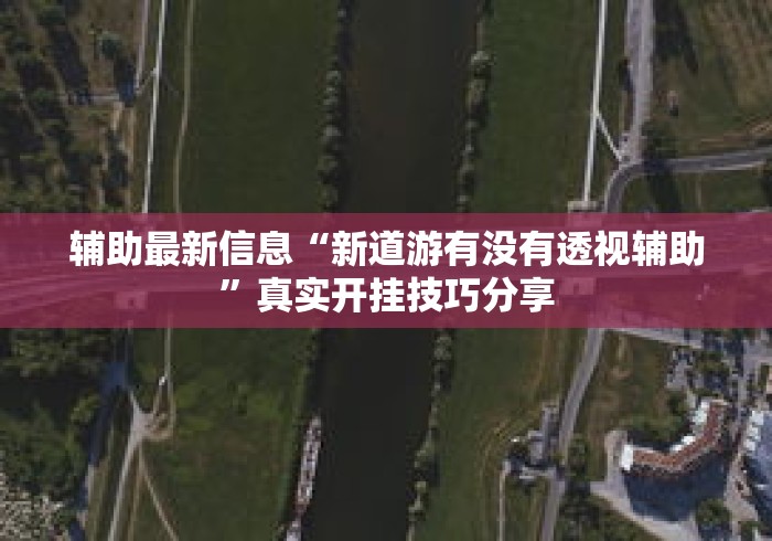 辅助最新信息“新道游有没有透视辅助”真实开挂技巧分享