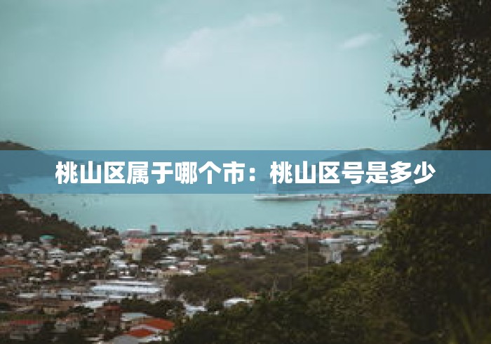 桃山区属于哪个市：桃山区号是多少