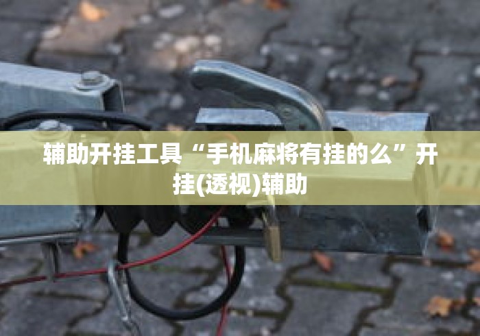 辅助开挂工具“手机麻将有挂的么”开挂(透视)辅助