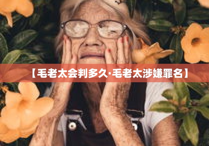 【毛老太会判多久·毛老太涉嫌罪名】
