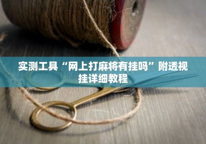 实测工具“网上打麻将有挂吗”附透视挂详细教程