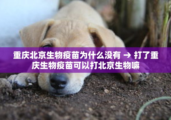 重庆北京生物疫苗为什么没有 → 打了重庆生物疫苗可以打北京生物嘛