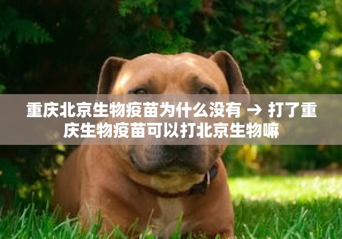 重庆北京生物疫苗为什么没有 → 打了重庆生物疫苗可以打北京生物嘛 重庆北京生物疫苗为什么没有 → 打了重庆生物疫苗可以打北京生物嘛