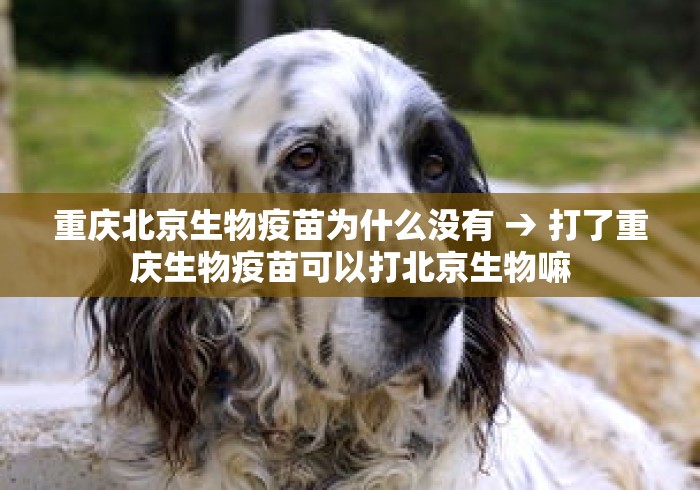 重庆北京生物疫苗为什么没有 → 打了重庆生物疫苗可以打北京生物嘛 重庆北京生物疫苗为什么没有 → 打了重庆生物疫苗可以打北京生物嘛