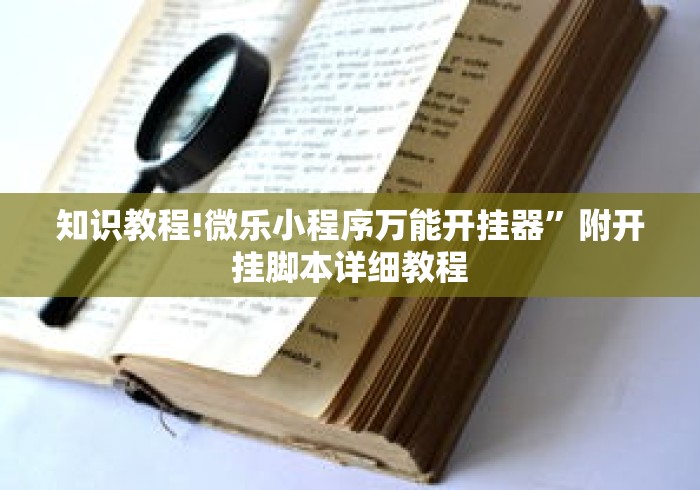知识教程!微乐小程序万能开挂器”附开挂脚本详细教程