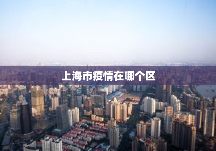 上海市疫情在哪个区