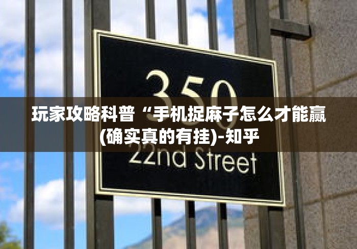 玩家攻略科普“手机捉麻子怎么才能赢(确实真的有挂)-知乎