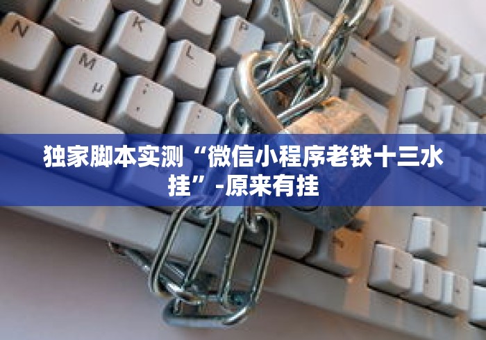 独家脚本实测“微信小程序老铁十三水挂”-原来有挂
