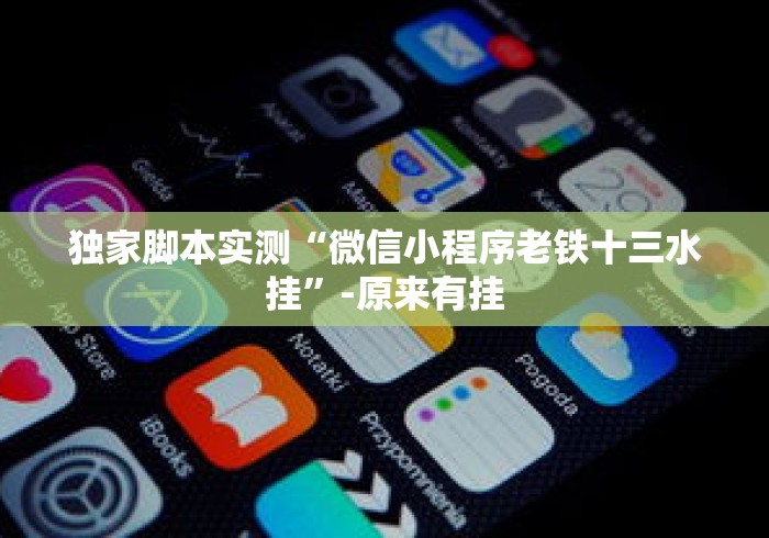 独家脚本实测“微信小程序老铁十三水挂”-原来有挂