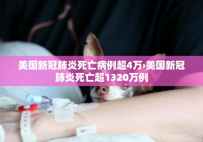 美国新冠肺炎死亡病例超4万›美国新冠肺炎死亡超1320万例