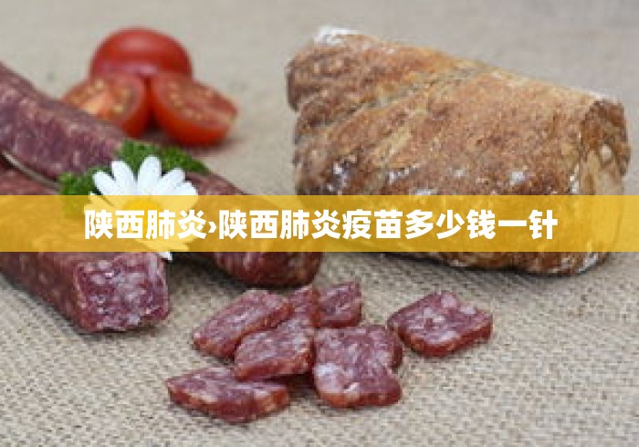 陕西肺炎›陕西肺炎疫苗多少钱一针 陕西肺炎›陕西肺炎疫苗多少钱一针