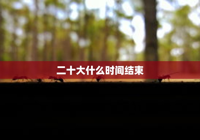 二十大什么时间结束