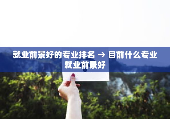 就业前景好的专业排名 → 目前什么专业就业前景好