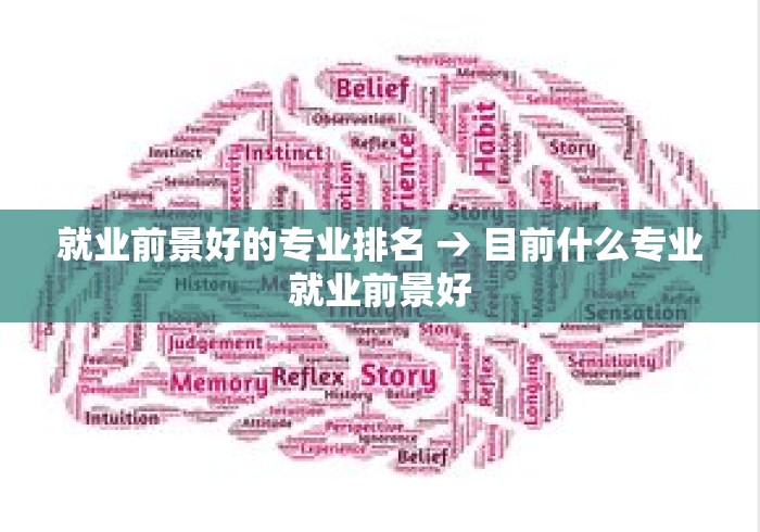 就业前景好的专业排名 → 目前什么专业就业前景好 就业前景好的专业排名 → 目前什么专业就业前景好