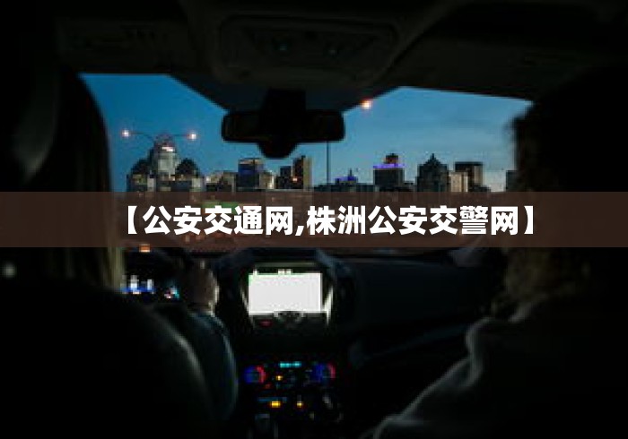 【公安交通网,株洲公安交警网】