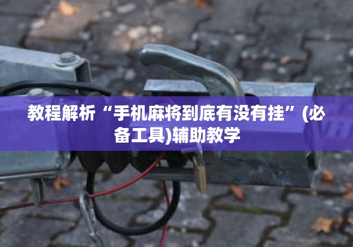 教程解析“手机麻将到底有没有挂	”(必备工具)辅助教学