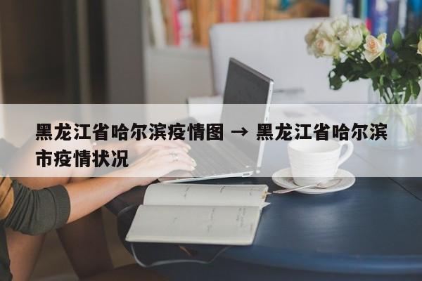 黑龙江省哈尔滨疫情图 → 黑龙江省哈尔滨市疫情状况