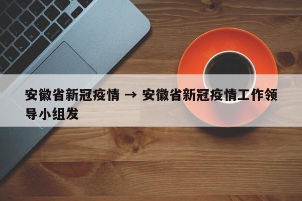 安徽省新冠疫情 → 安徽省新冠疫情工作领导小组发