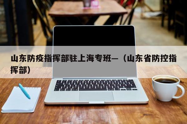 山东防疫指挥部驻上海专班—(山东省防控指挥部)