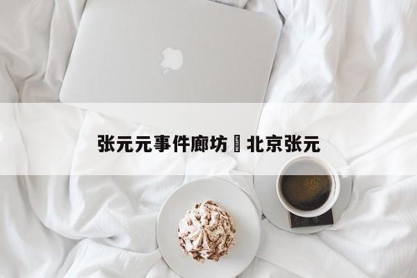 张元元事件廊坊›北京张元
