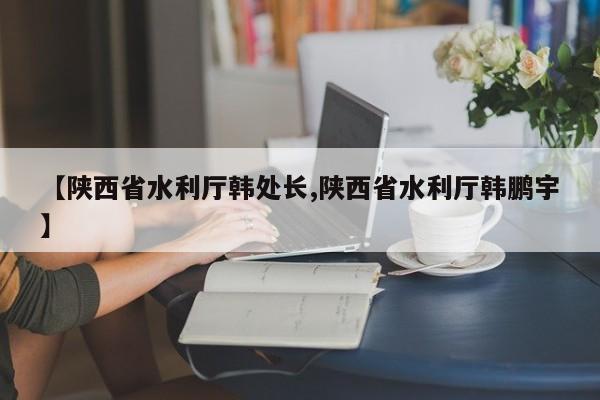 【陕西省水利厅韩处长,陕西省水利厅韩鹏宇】