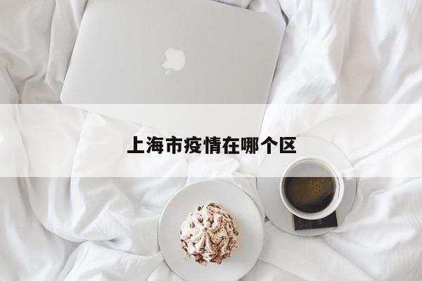 上海市疫情在哪个区